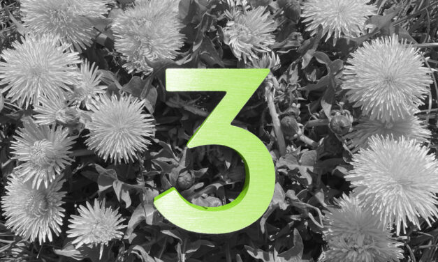 3 platformy: Fondee, Indigo, Portu