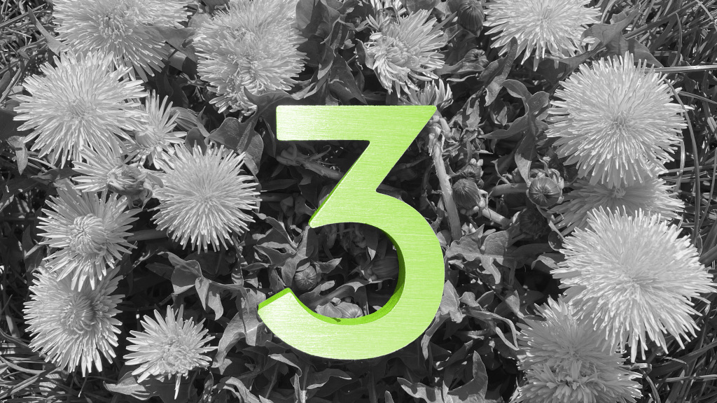 3 platformy: Fondee, Indigo, Portu