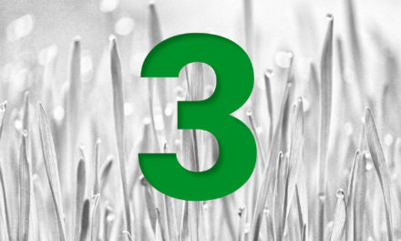 3 platformy: Fondee, Indigo, Portu